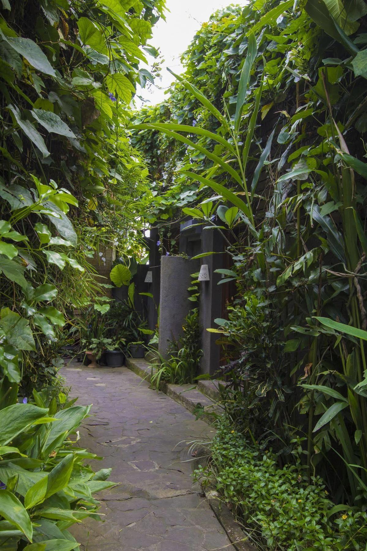 Ladera Villa Ubud Exteriér fotografie