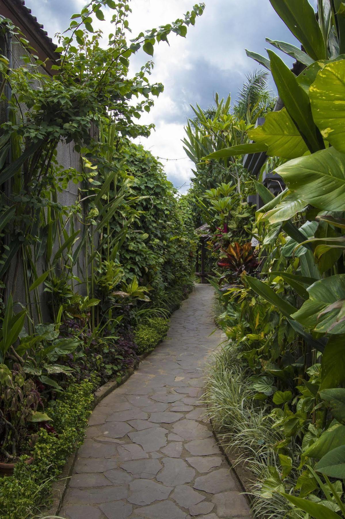 Ladera Villa Ubud Exteriér fotografie